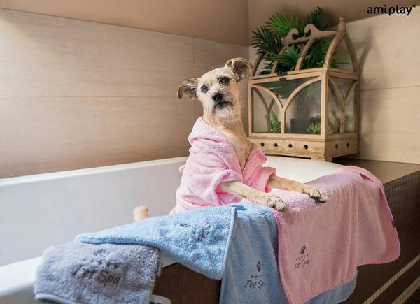 Produktbild amiplay Hunde-Bademantel SPA, 50 cm, grau (Hundebademantel)