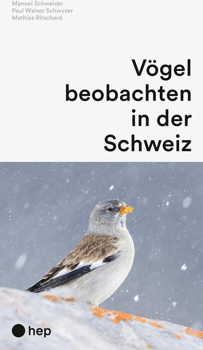 Actual product image Vögel beobachten in der Schweiz (German, Paul Walser Schwyzer, Manuel Schweizer, Mathias Ritschard, 2024)