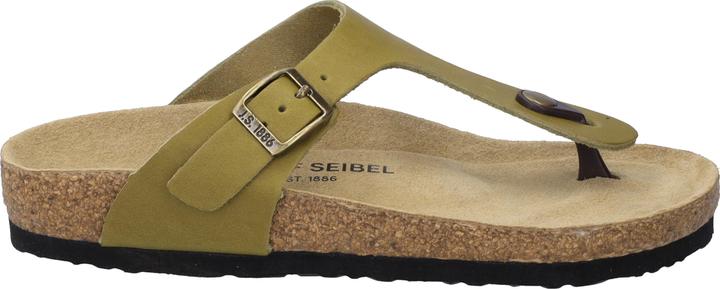olive