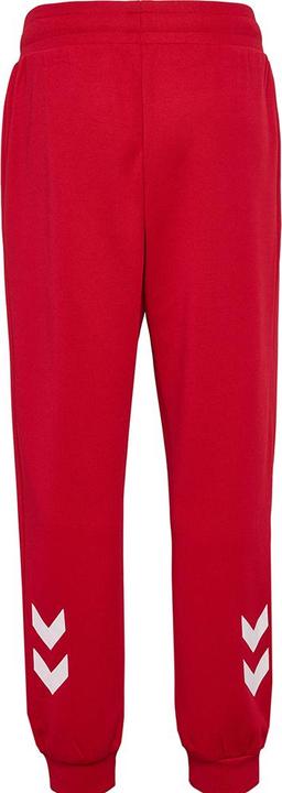 Produktbild hummel Dbu Track Suit Pants (110)