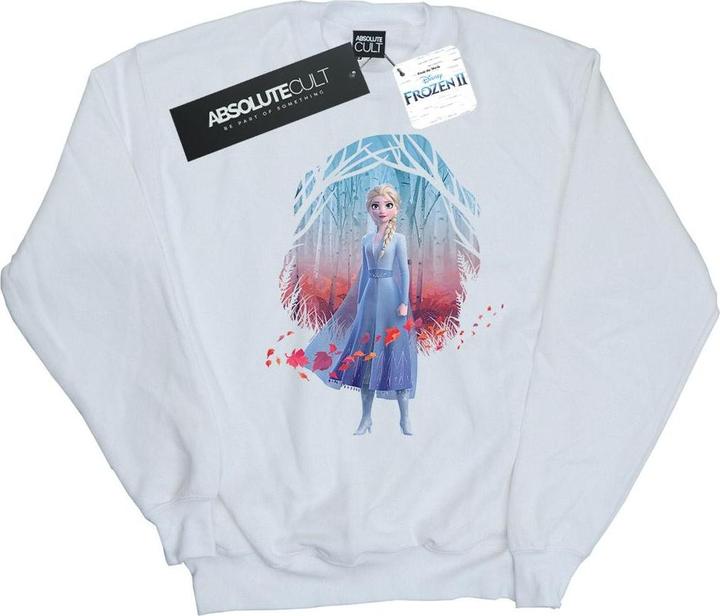 Actual product image Disney Womens/Ladies Frozen 2 Elsa Find The Way Sweatshirt (L)