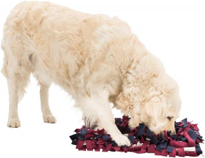 Actual product image Trixie Activity sniffing carpet (Dog activity toy)