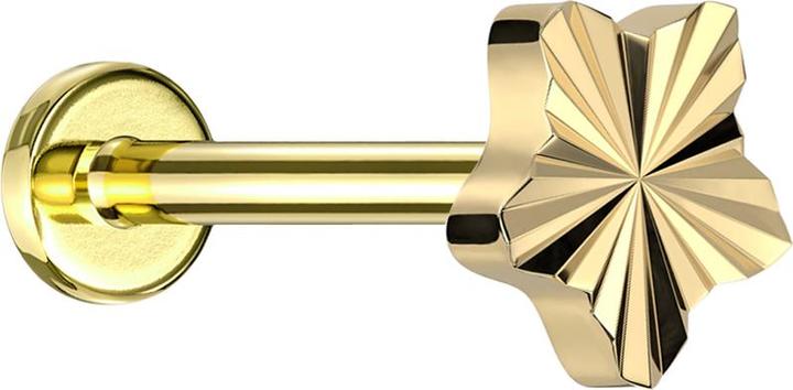 Produktbild Star Piercing Micro Labret Innengewinde vergoldet Diamantschliff Scheibe Stern vergoldet (ohne Messing, Titan G23)