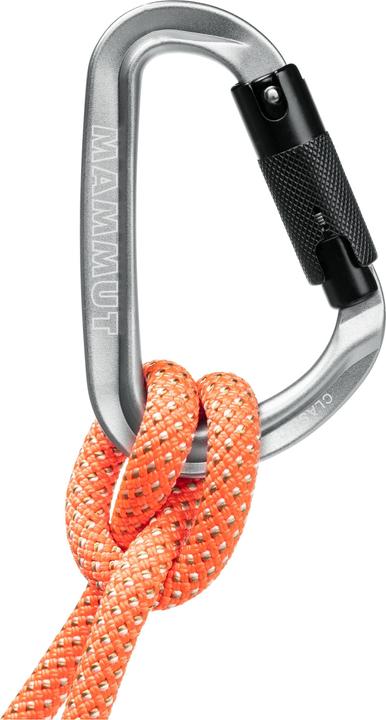 Produktbild Mammut Classic HMS Twistlock Plus