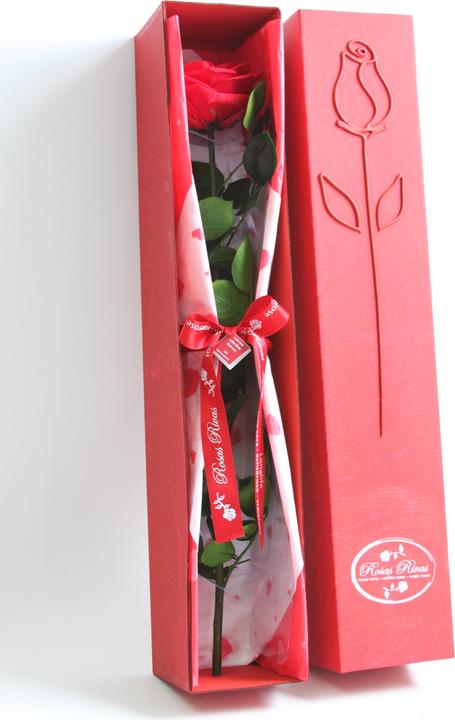 Produktbild Rosas Rivas Stiel Rose Premium, 56 cm