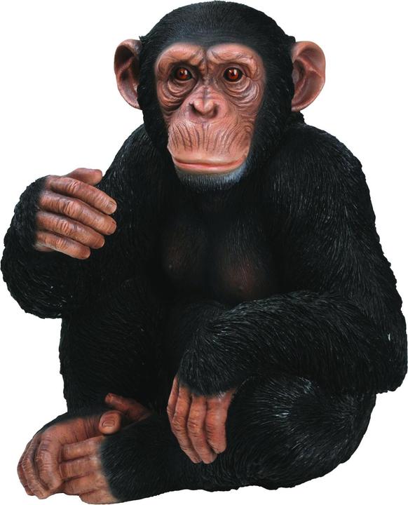 Actual product image Decoration figure chimpanzee sitting (33 x 26.5 x 27.5 cm)
