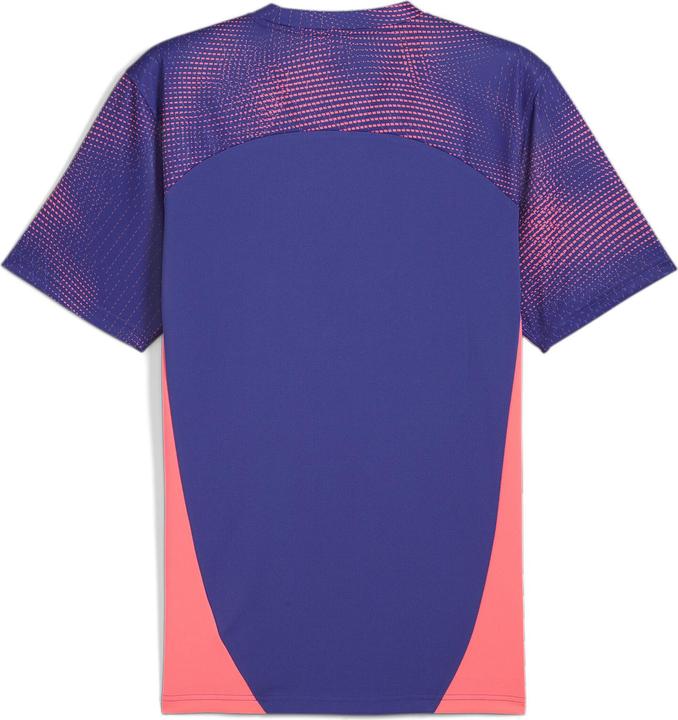Actual product image Puma individualFINAL Jersey (XS)