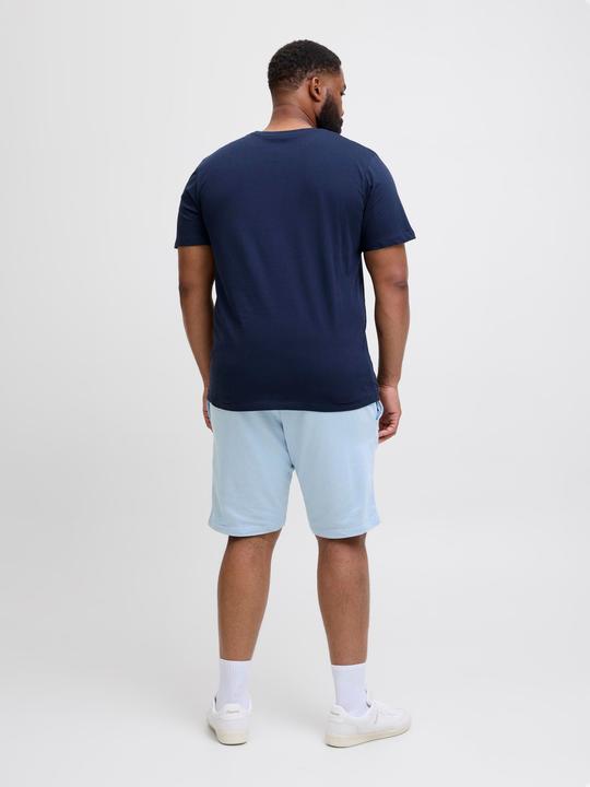 Produktbild Jack & Jones Plus Size Regular Fit Regular Fit Shorts Regular Fit Shorts (42)