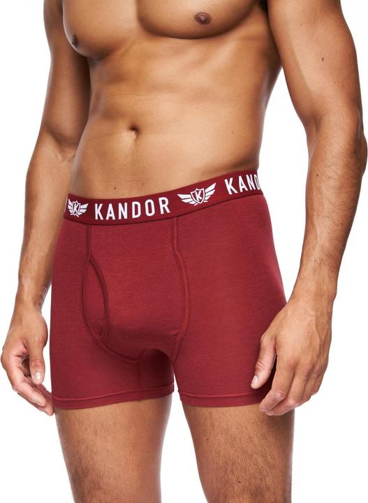 Actual product image Kandor Mens Quinfly Boxer Shorts (Pack of 5) (L, 5-pack)