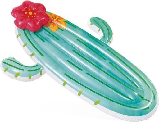 Image du produit Intex Cactus