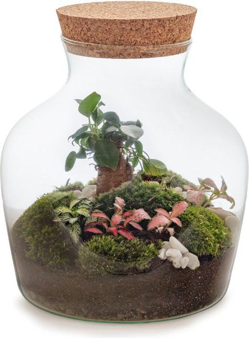 Image du produit Green Bubble Jardin de bouteilles DIY (21 cm)