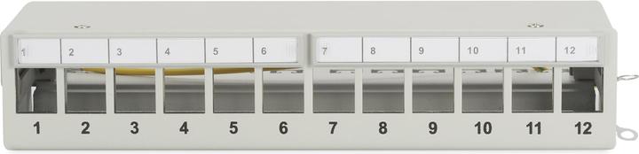 Actual product image Digitus Desktop Patch Panel,12-Port