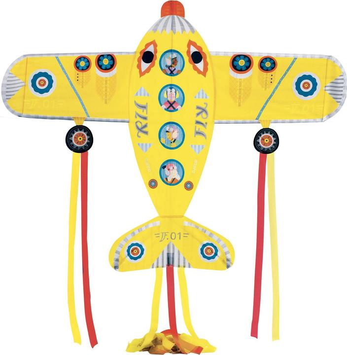 Djeco Maxi Flugzeug