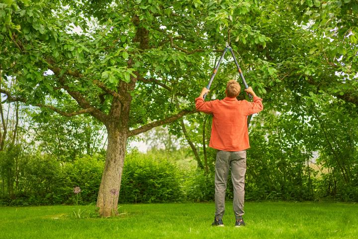 Immagine prodotto Gardena Astschere TeleCut pro L