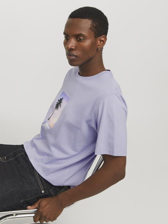 Image du produit Jack & Jones Jorvesterbro Picture Tee Ss Crew Neck Sn (XL)
