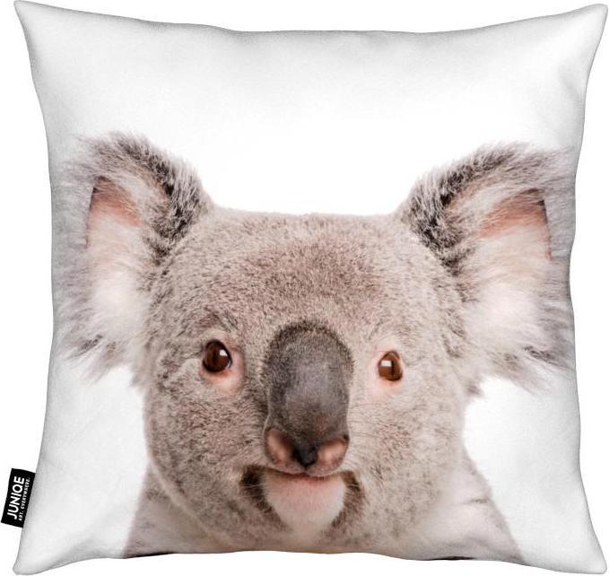 Produktbild Juniqe Koala - Koalas (50 x 50 cm)