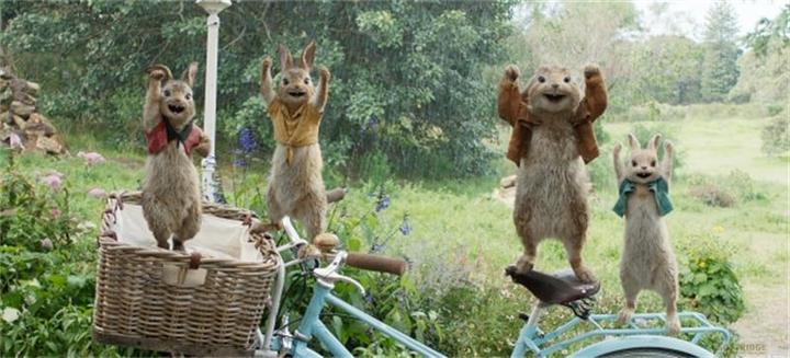 Actual product image Sony Peter Rabbit 1 & 2 (Blu-ray, German)