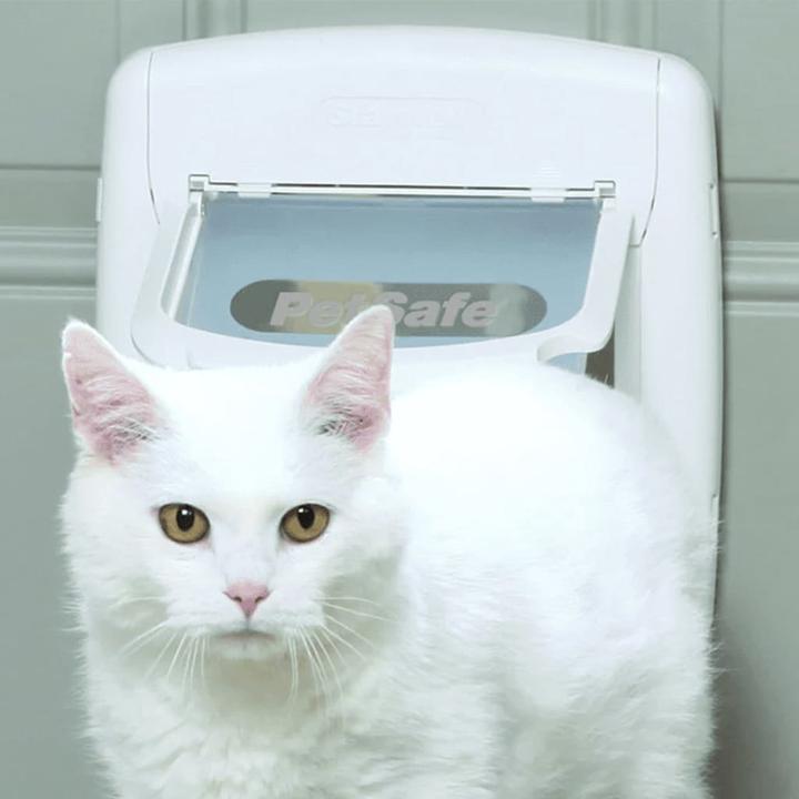 Immagine prodotto Staywell Katzenklappe (Zanzariera magnetica per gatti)