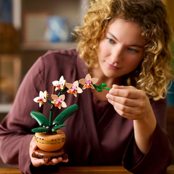 Image du produit LEGO Mini-Orchidee (10343, LEGO Botanical)
