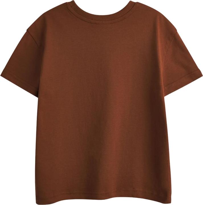 Actual product image The Gruffalo Boys Characters Short-Sleeved T-Shirt (Pack of 2) (104)