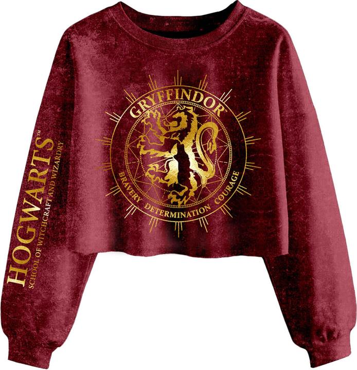 Gryffindor Constellation Kurzes Sweatshirt