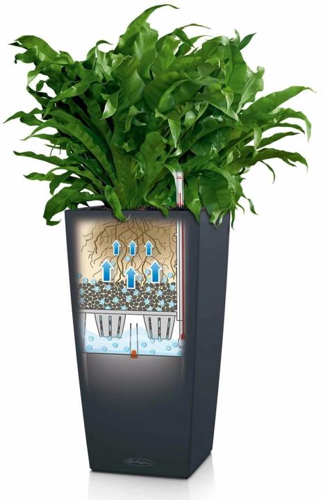 Produktbild Lechuza Cubico Color 30 (29.50 cm)