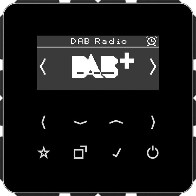 Immagine prodotto JUNG Radio intelligente DABCDSW DAB+ (DAB, VHF)