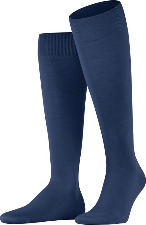 6000 royal blue