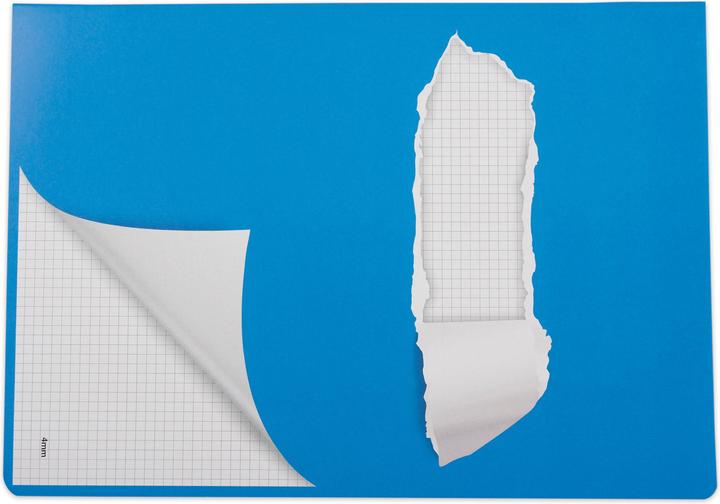 Actual product image Elco Exercise book (A4, Checked, Soft cover)