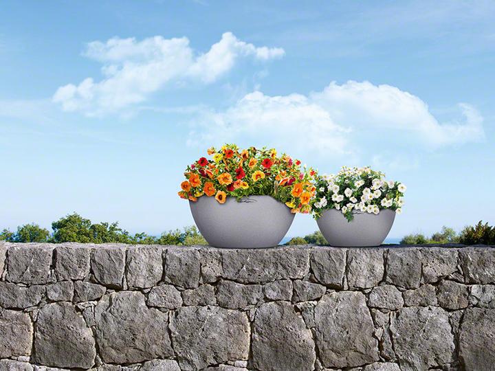 Actual product image Lechuza Cubeto Color (40 cm)