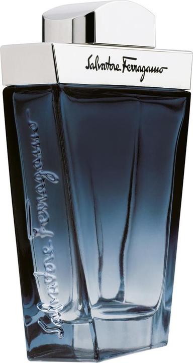 Image du produit Salvatore Ferragamo Subtil (Eau de toilette, 100 ml)