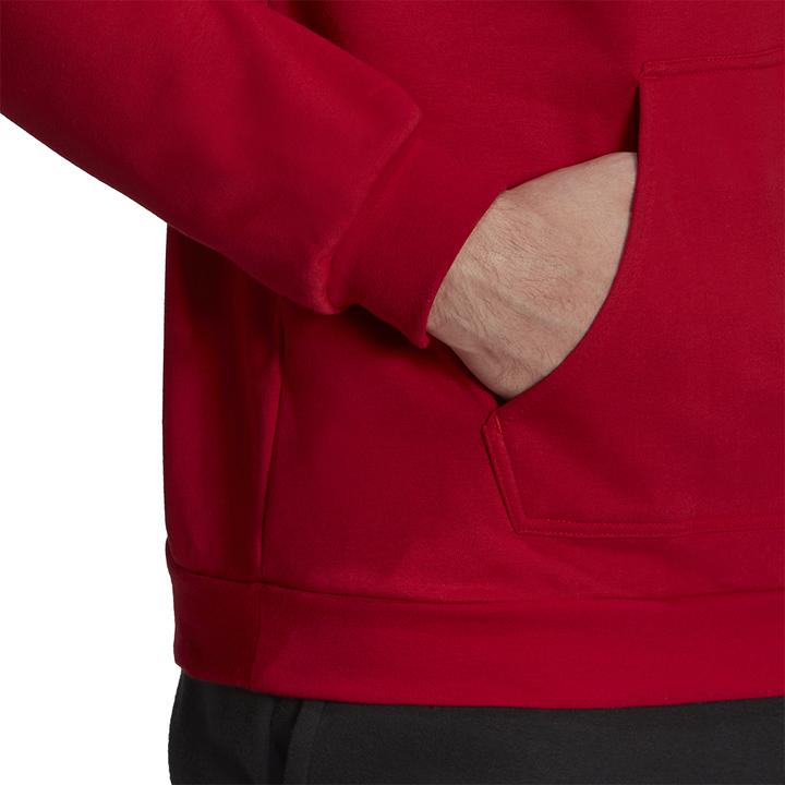 Actual product image adidas Entrada 22 hoodie men (L)