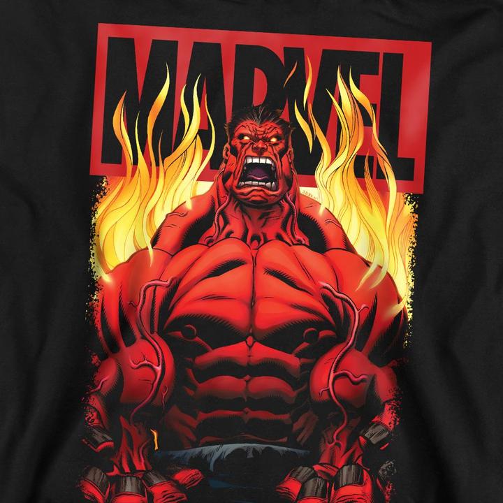Image du produit - Sweat - Adulte (S)