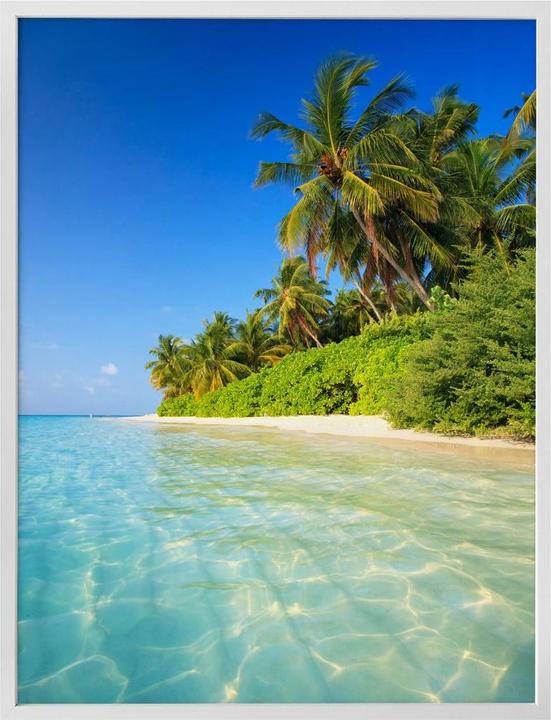 Image du produit Trenddeko Les Maldives (80 x 100 cm)