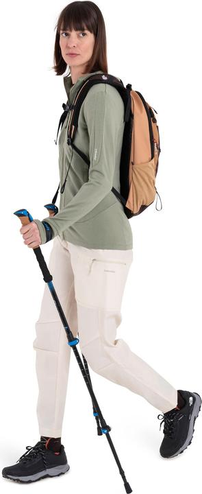 Produktbild Icebreaker Women's Merino 260 Quantum IV L/S Zip Hoodie (L)
