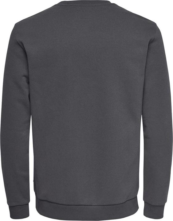 Produktbild Only & Sons Onsceres Crew Neck Noos (XXL)