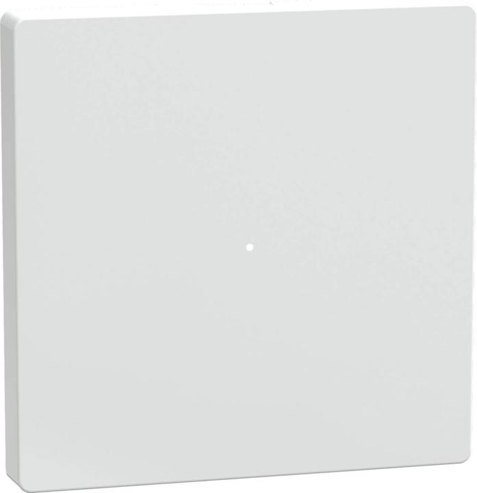 Actual product image Merten Rocker for push-button module 1gang, lotus white, MEG5210-6035