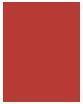 Image du produit L'Oréal Paris Color Riche (346 Le Rouge Détermination)
