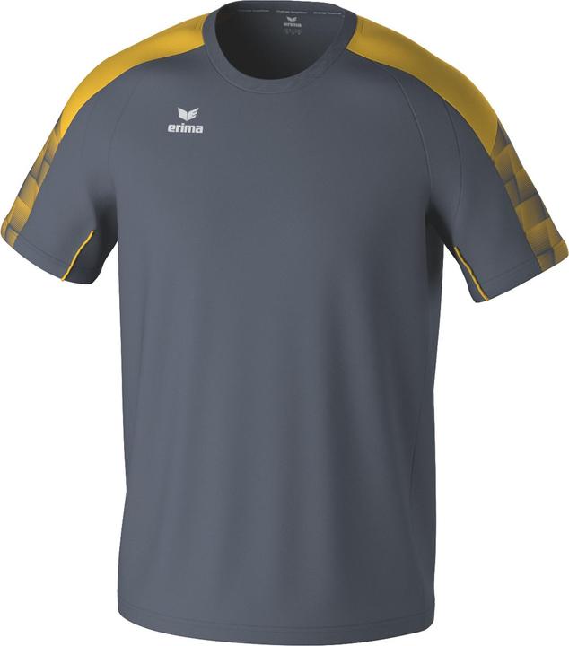 Gris ardoise, Jaune