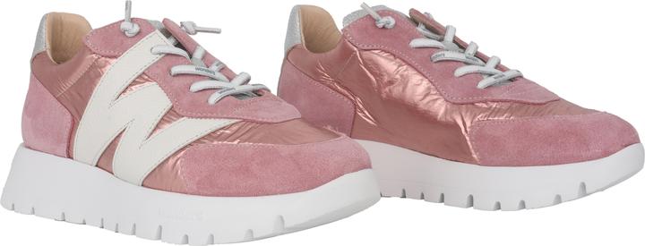 Actual product image Wonders Oslo (41)