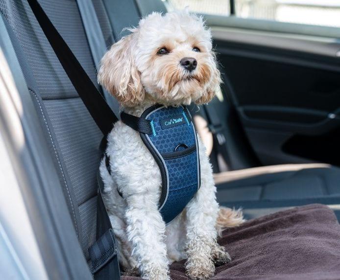 Produktbild Company of Animals CarSafe Autogeschirr (Hund, Reflektoren, Faltbar)