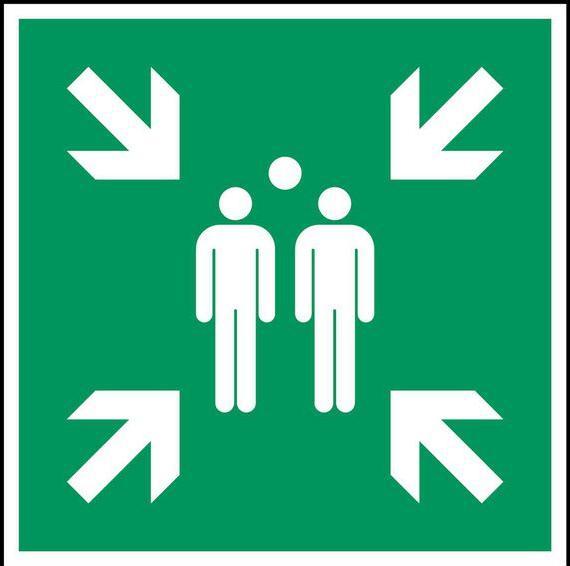 Actual product image Brady ISO 7010 safety sign