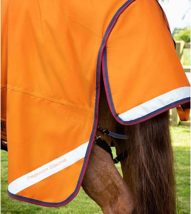 Immagine prodotto Premier Equine Buster Combo 200g (168 cm)