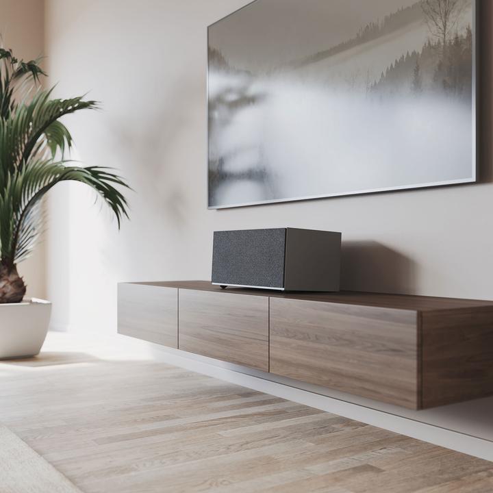 Productafbeelding Audio Pro C20 Multi-Room Luidspreker (Radiofrequentie (RF), Airplay 2, Bluetooth, WiFi)