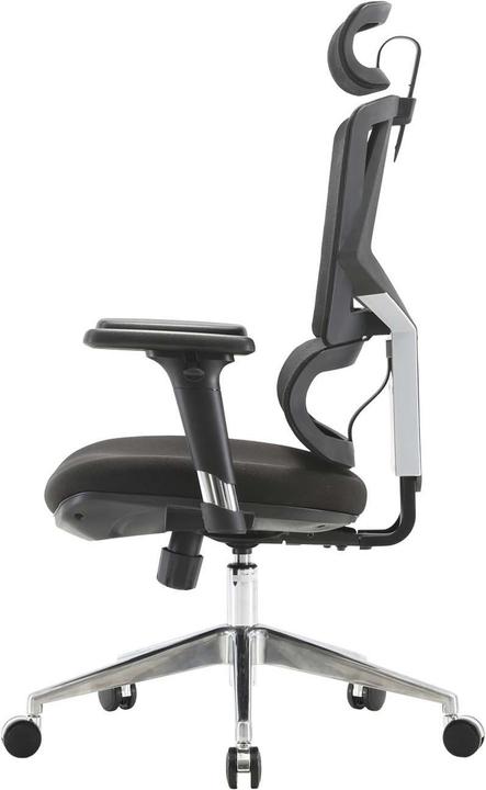 Image du produit Sihoo Chaise de bureau avec soutien lombaire