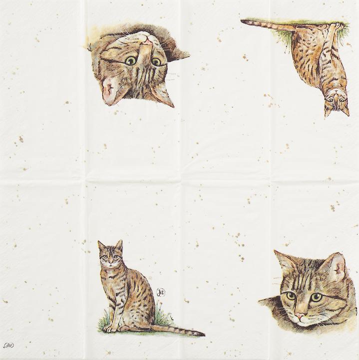 Immagine prodotto IHR Taschentuch Farmfriends Cat