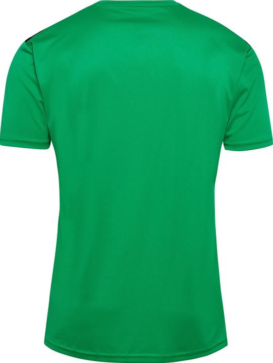 Image du produit hummel Hmlauthentic Pl Jersey S/S (M)