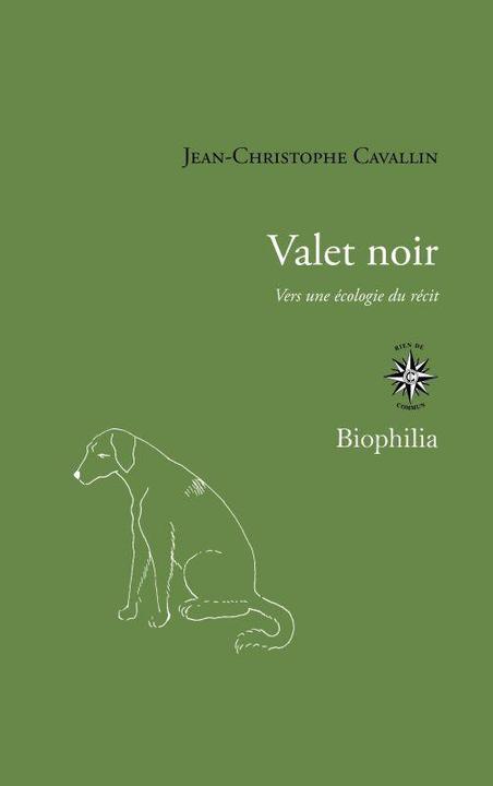 Produktbild Valet noir : vers une écologie du récit (Französisch, Cavallin Jean-Christophe, 2021)