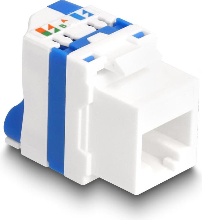 Image du produit Delock Module Keystone RJ45 femelle vers LSA Cat.6A sans outils (Module Keystone)