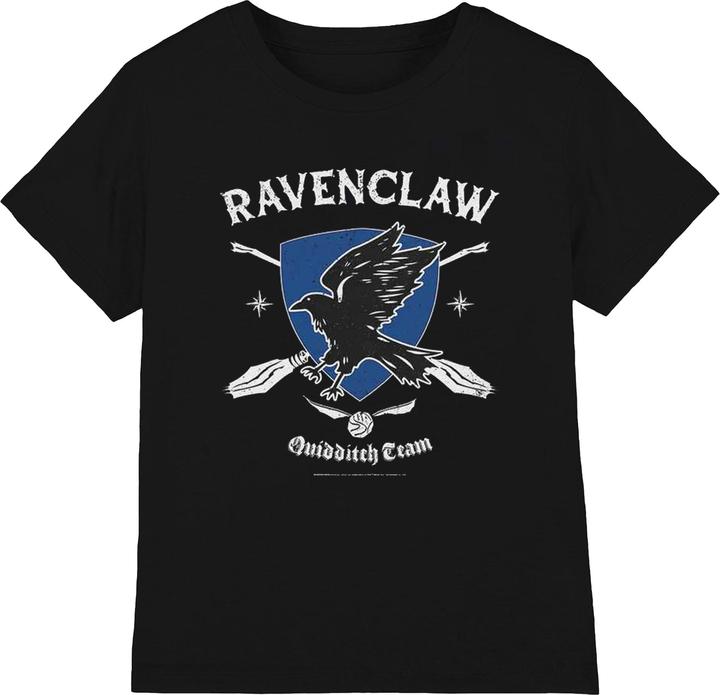 Actual product image Unisex Adult Quidditch Ravenclaw T-Shirt (XXL)